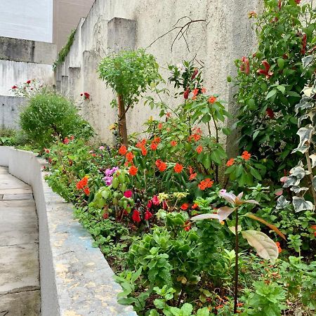 קוריטיבה 505 - Apartamento Lindo, Amplo E Decorado, Mobiliario Moderno, Cozinha Completa Com Utensilios , Excelente Vista Da Cidade E Localizacao Privelegiada No Bairro Bigorrilho Proximo De Shopping E Parques מראה חיצוני תמונה